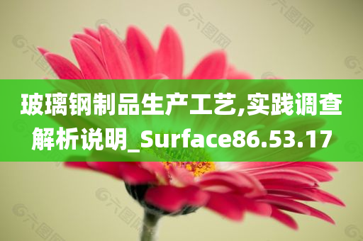 玻璃钢制品生产工艺,实践调查解析说明_Surface86.53.17