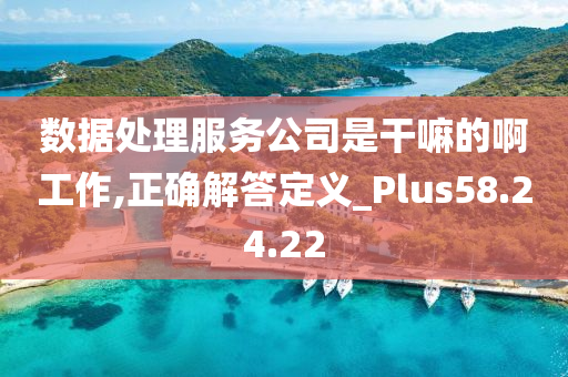 数据处理服务公司是干嘛的啊工作,正确解答定义_Plus58.24.22