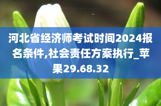 河北省经济师考试时间2024报名条件,社会责任方案执行_苹果29.68.32