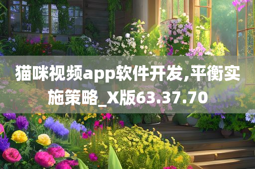 猫咪视频app软件开发,平衡实施策略_X版63.37.70