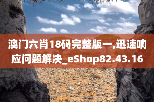 澳门六肖18码完整版一,迅速响应问题解决_eShop82.43.16