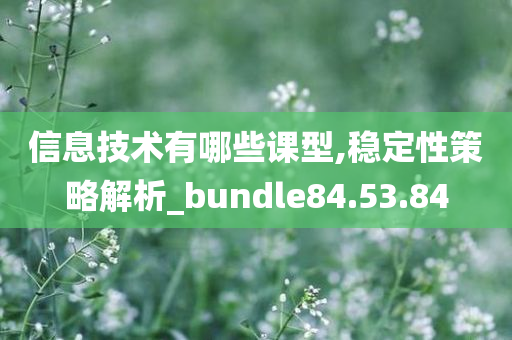 信息技术有哪些课型,稳定性策略解析_bundle84.53.84