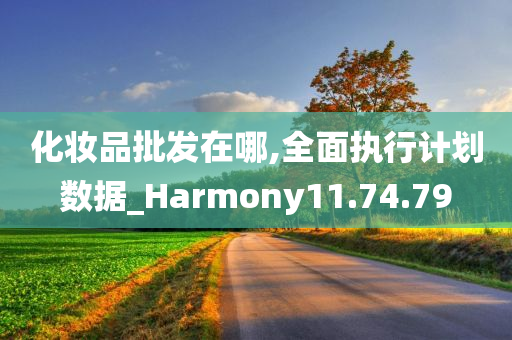 化妆品批发在哪,全面执行计划数据_Harmony11.74.79