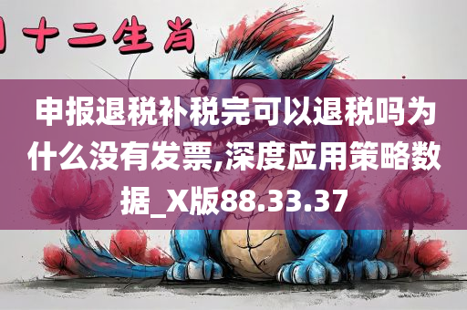 申报退税补税完可以退税吗为什么没有发票,深度应用策略数据_X版88.33.37