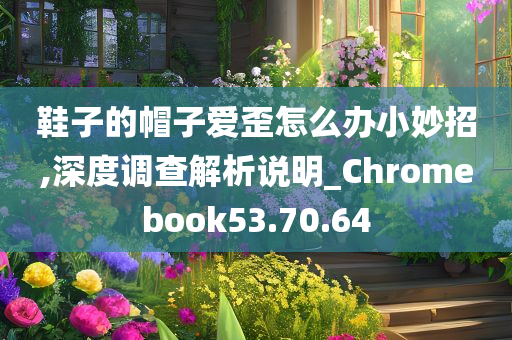 鞋子的帽子爱歪怎么办小妙招,深度调查解析说明_Chromebook53.70.64