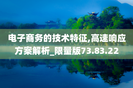 电子商务的技术特征,高速响应方案解析_限量版73.83.22