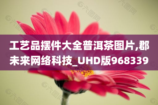 工艺品摆件大全普洱茶图片,郡未来网络科技_UHD版968339