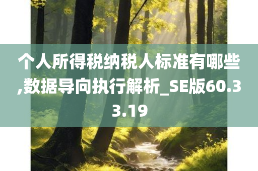 个人所得税纳税人标准有哪些,数据导向执行解析_SE版60.33.19