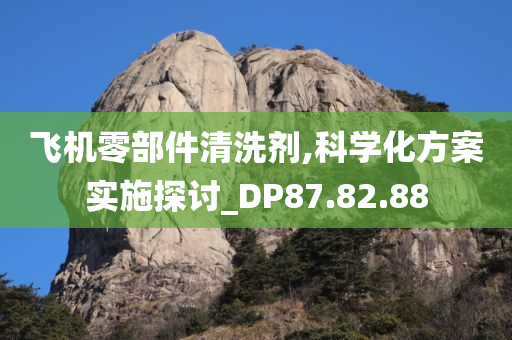 飞机零部件清洗剂,科学化方案实施探讨_DP87.82.88