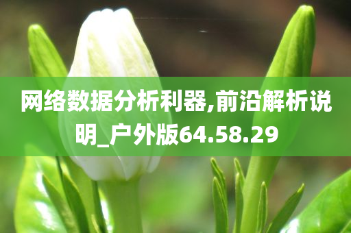 网络数据分析利器,前沿解析说明_户外版64.58.29