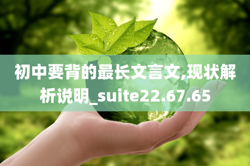 初中要背的最长文言文,现状解析说明_suite22.67.65