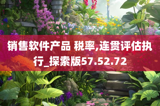 销售软件产品 税率,连贯评估执行_探索版57.52.72