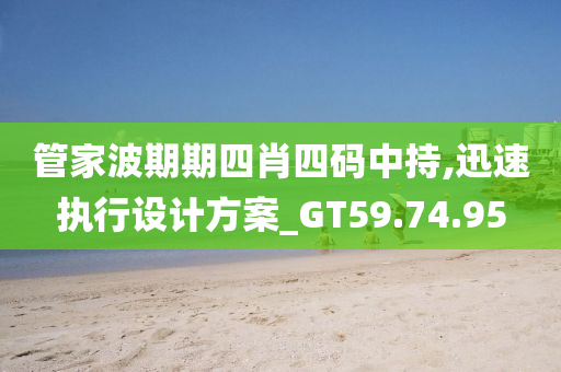 管家波期期四肖四码中持,迅速执行设计方案_GT59.74.95