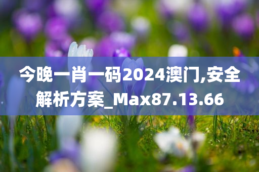 今晚一肖一码2024澳门,安全解析方案_Max87.13.66