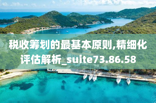 税收筹划的最基本原则,精细化评估解析_suite73.86.58