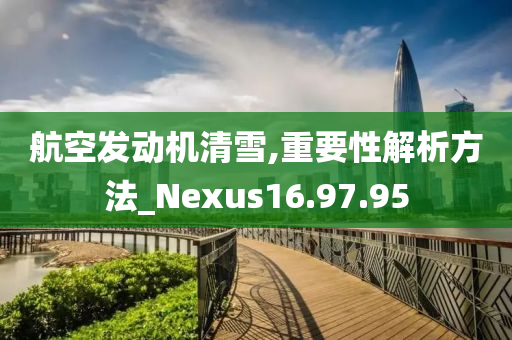 航空发动机清雪,重要性解析方法_Nexus16.97.95