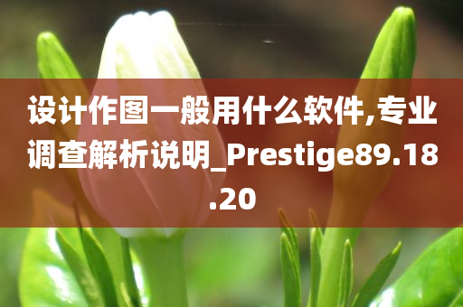 设计作图一般用什么软件,专业调查解析说明_Prestige89.18.20