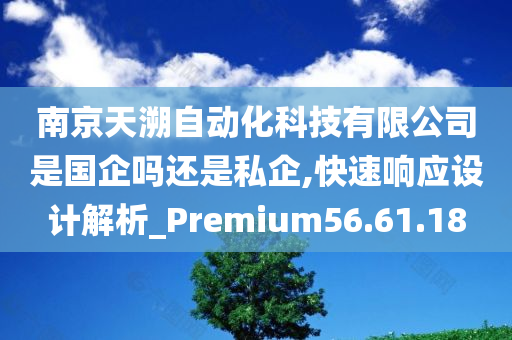 南京天溯自动化科技有限公司是国企吗还是私企,快速响应设计解析_Premium56.61.18