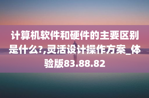 计算机软件和硬件的主要区别是什么?,灵活设计操作方案_体验版83.88.82