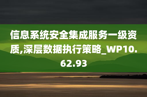 信息系统安全集成服务一级资质,深层数据执行策略_WP10.62.93