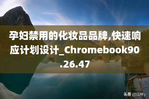 孕妇禁用的化妆品品牌,快速响应计划设计_Chromebook90.26.47