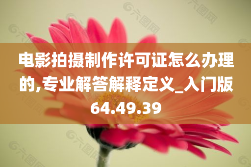 电影拍摄制作许可证怎么办理的,专业解答解释定义_入门版64.49.39