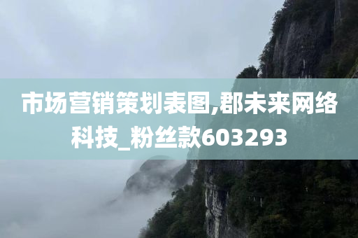 市场营销策划表图,郡未来网络科技_粉丝款603293