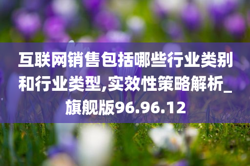 互联网销售包括哪些行业类别和行业类型,实效性策略解析_旗舰版96.96.12