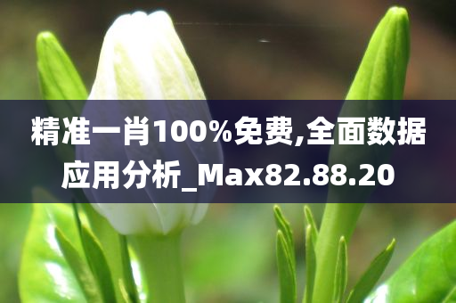 精准一肖100%免费,全面数据应用分析_Max82.88.20