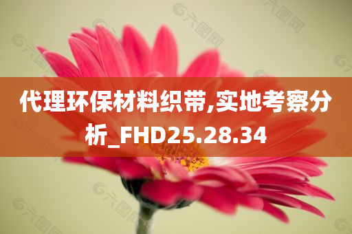 代理环保材料织带,实地考察分析_FHD25.28.34