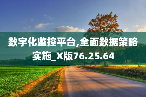 数字化监控平台,全面数据策略实施_X版76.25.64