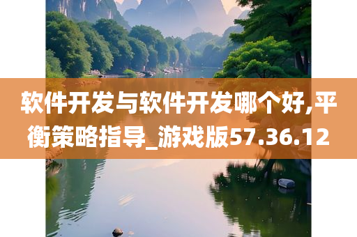 软件开发与软件开发哪个好,平衡策略指导_游戏版57.36.12