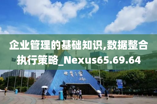 企业管理的基础知识,数据整合执行策略_Nexus65.69.64