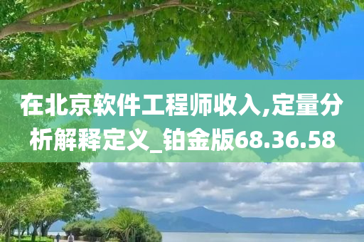 在北京软件工程师收入,定量分析解释定义_铂金版68.36.58