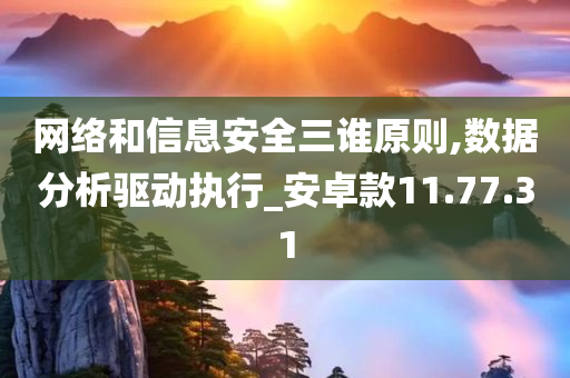 网络和信息安全三谁原则,数据分析驱动执行_安卓款11.77.31