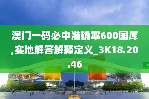 澳门一码必中准确率600图库,实地解答解释定义_3K18.20.46