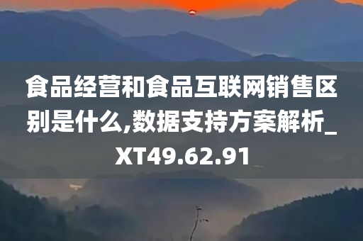 食品经营和食品互联网销售区别是什么,数据支持方案解析_XT49.62.91