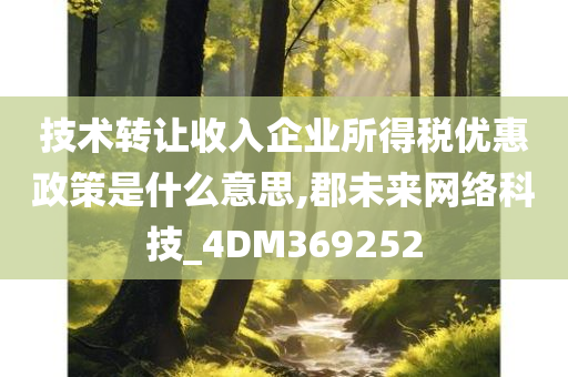 技术转让收入企业所得税优惠政策是什么意思,郡未来网络科技_4DM369252