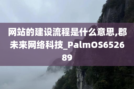 网站的建设流程是什么意思,郡未来网络科技_PalmOS652689