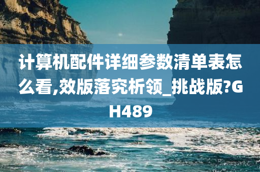 计算机配件详细参数清单表怎么看,效版落究析领_挑战版?GH489