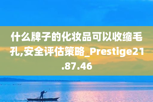 什么牌子的化妆品可以收缩毛孔,安全评估策略_Prestige21.87.46