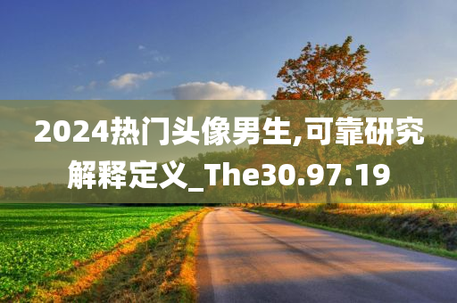 2024热门头像男生,可靠研究解释定义_The30.97.19