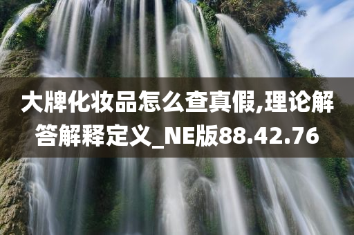 大牌化妆品怎么查真假,理论解答解释定义_NE版88.42.76