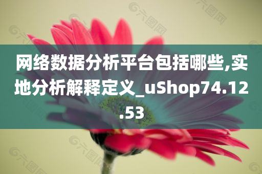 网络数据分析平台包括哪些,实地分析解释定义_uShop74.12.53