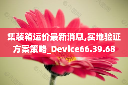 集装箱运价最新消息,实地验证方案策略_Device66.39.68