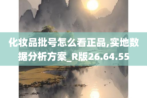 化妆品批号怎么看正品,实地数据分析方案_R版26.64.55