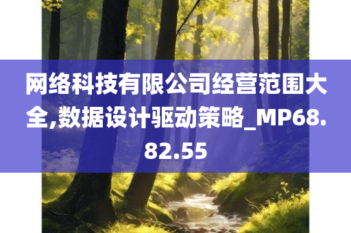 网络科技有限公司经营范围大全,数据设计驱动策略_MP68.82.55