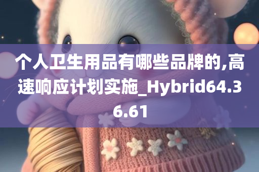 个人卫生用品有哪些品牌的,高速响应计划实施_Hybrid64.36.61