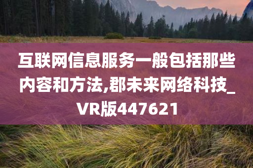 互联网信息服务一般包括那些内容和方法,郡未来网络科技_VR版447621