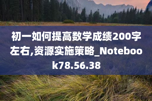 初一如何提高数学成绩200字左右,资源实施策略_Notebook78.56.38